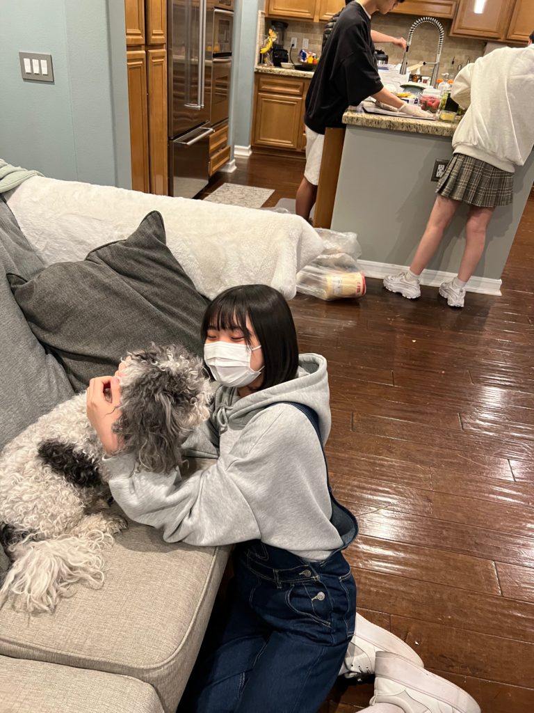 Girl Petting A Fluffy Dog