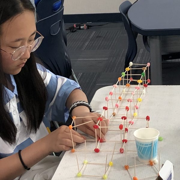 Girl Building A Stem Project