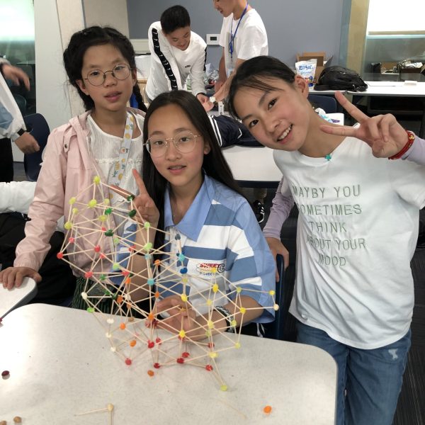 Three Girls With Stem Project
